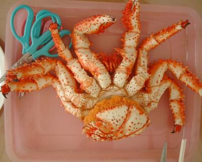 Crab Hanasaki ordered