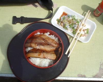 Saury broiled with soy sause